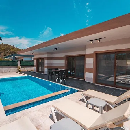 Orange Blossom פאטהיה