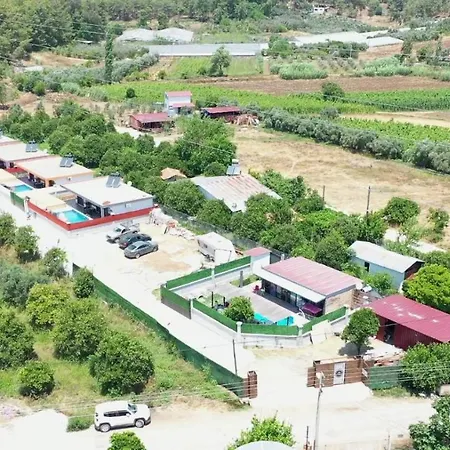 Villa Orange Blossom *