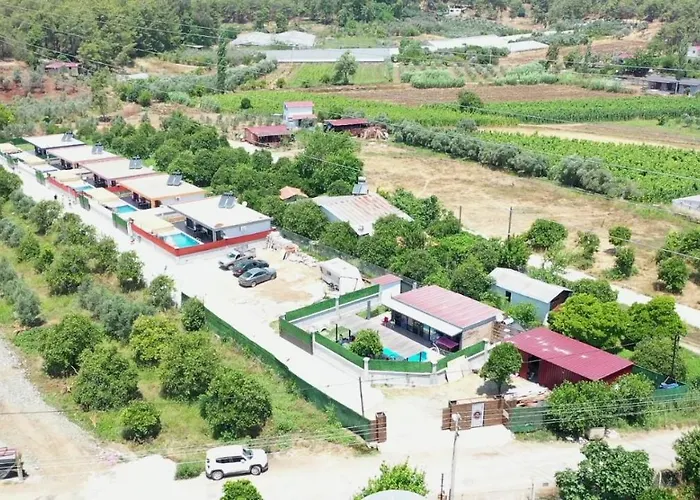 Villa Orange Blossom *